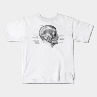 Face Muscular Diagram - Vintage Anatomy Kids T-Shirt